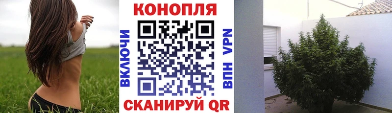 Виды наркотиков купить Норильск ГАШИШ  Псилоцибиновые грибы  блэк спрут онион  СОЛЬ  Мефедрон 